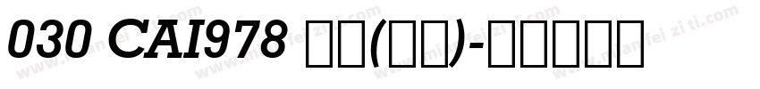 030 CAI978 普通(西方)字体转换